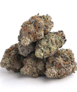 Gravity Cookies