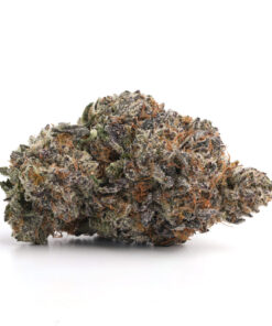 Gravity Cookies
