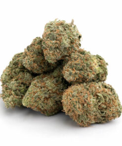 Nuken