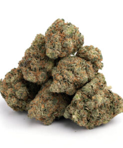 Pink Kush kaufen | Canabis Shop 420