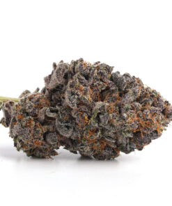 Sour Tangie