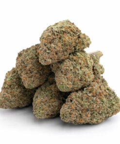 Blue Hawaiian