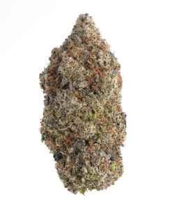 Blueberry Caviar