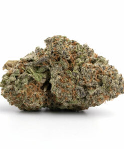Blueberry Cheesecake