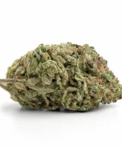 Forbidden Fruit