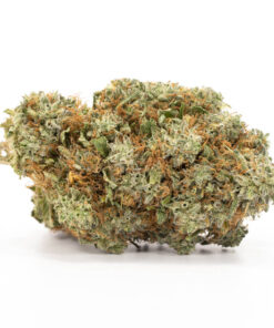Grape Stomper