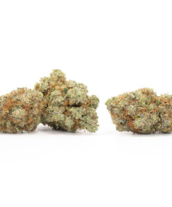 Grape Stomper