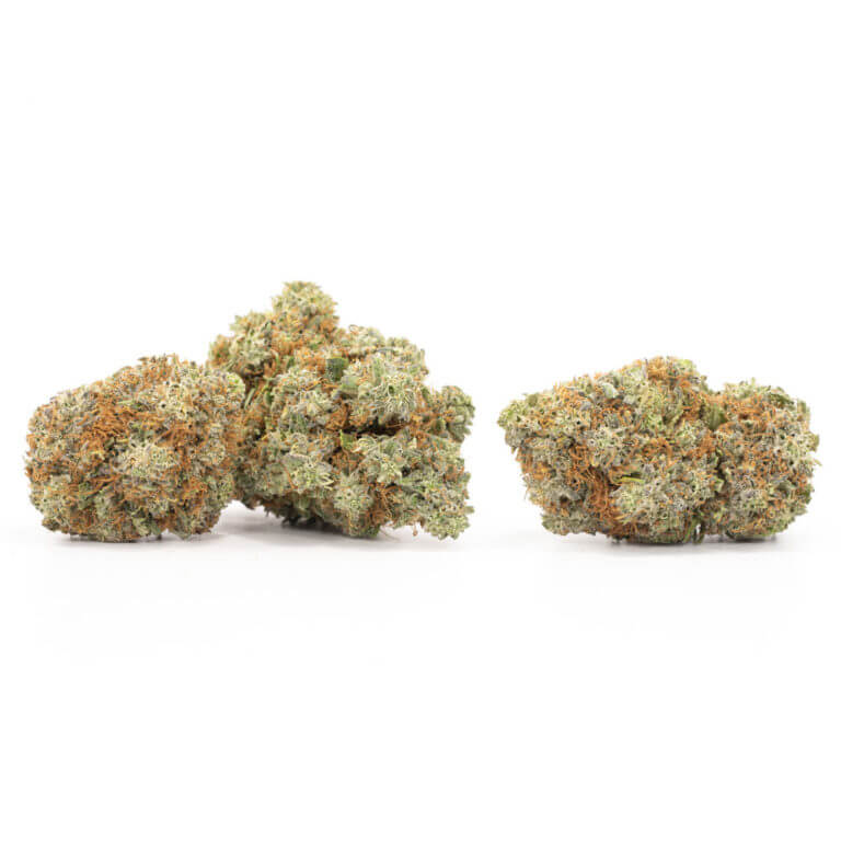 Grape Stomper