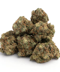 King Kush