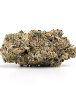 Lemon Cherry Gelato