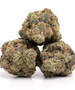 Lemon Cherry Gelato