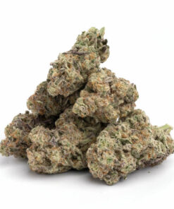Mendo Breath