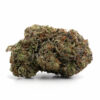 Northern Lights