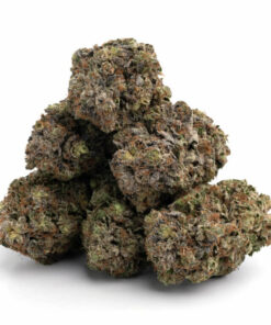 Northern Lights