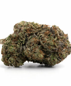 Northern Lights
