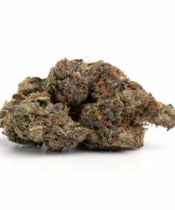 Pink Rockstar