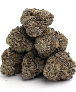 Purple Berry Skunk