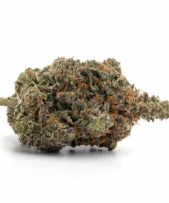 Rockstar Strain