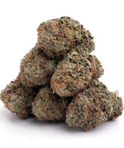 Skunk #1