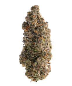 Slurricane