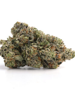 Super Lemon Glue