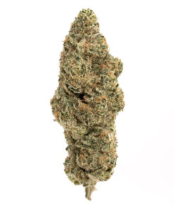 Super Pineapple Haze