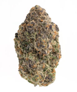 Tropical Smoothie